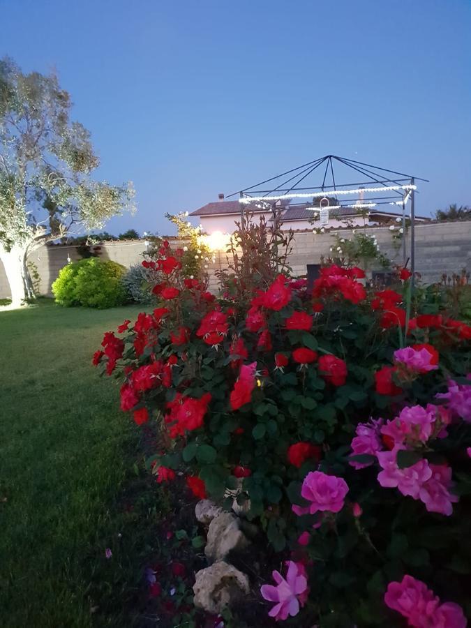 Villa Elegance Ladispoli Exterior foto